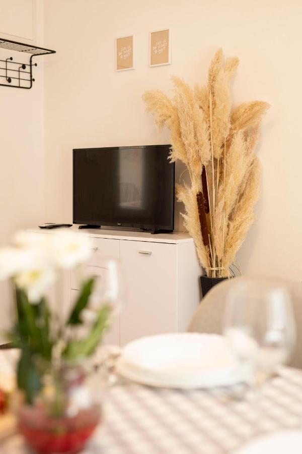 Studio Apartman Amalie Pazin Extérieur photo
